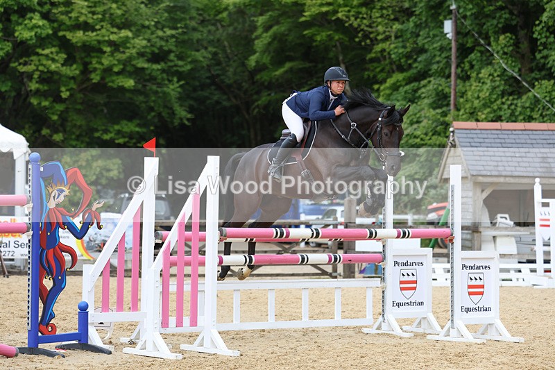 3E7A7503 - Class 8: Senior Foxhunter/1.20 open