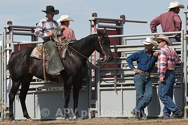 RODEO WRANGLERS TAKE 5 by Sylvia Adams - Horses'n'Ponies