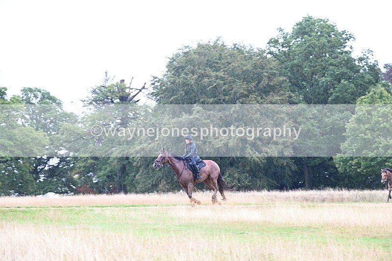 DSC_3323 - Time at Statue 13:51 to 14:55