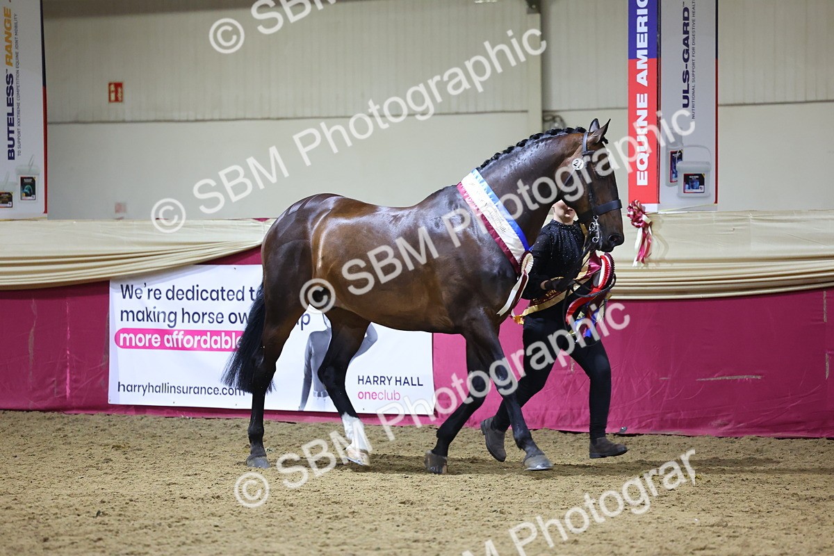 0B8A4560 - Class P Veteran Champ