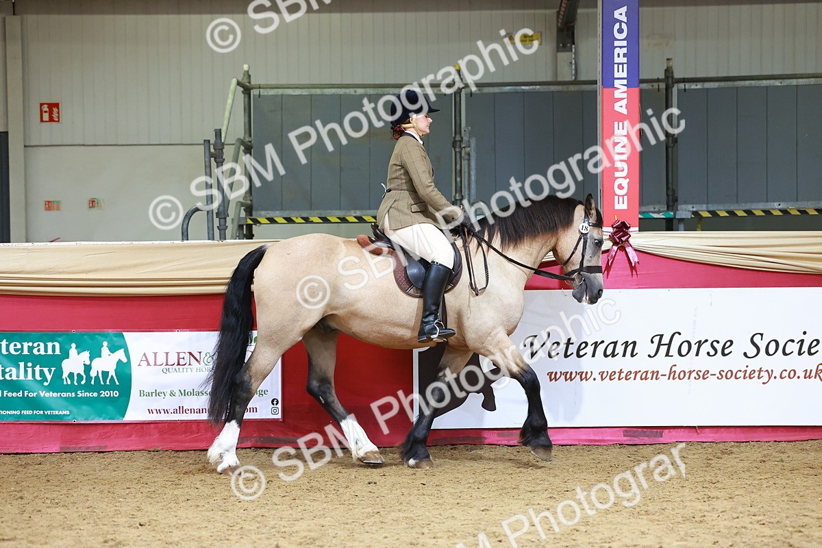 SBM_06175 - Class 12R - Ridden Pre-Vet