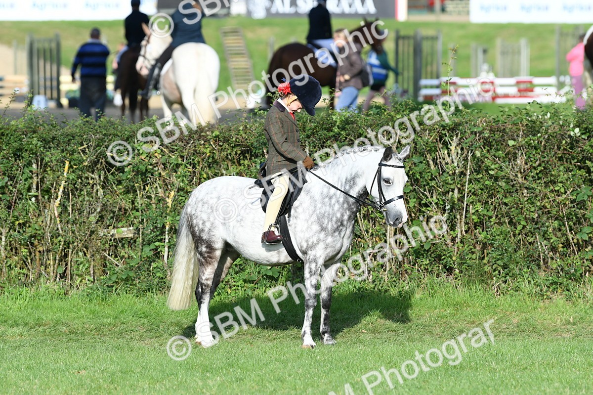 SBM_52420 - S22 - 1st Ridden Show & Show Hunter Pony
