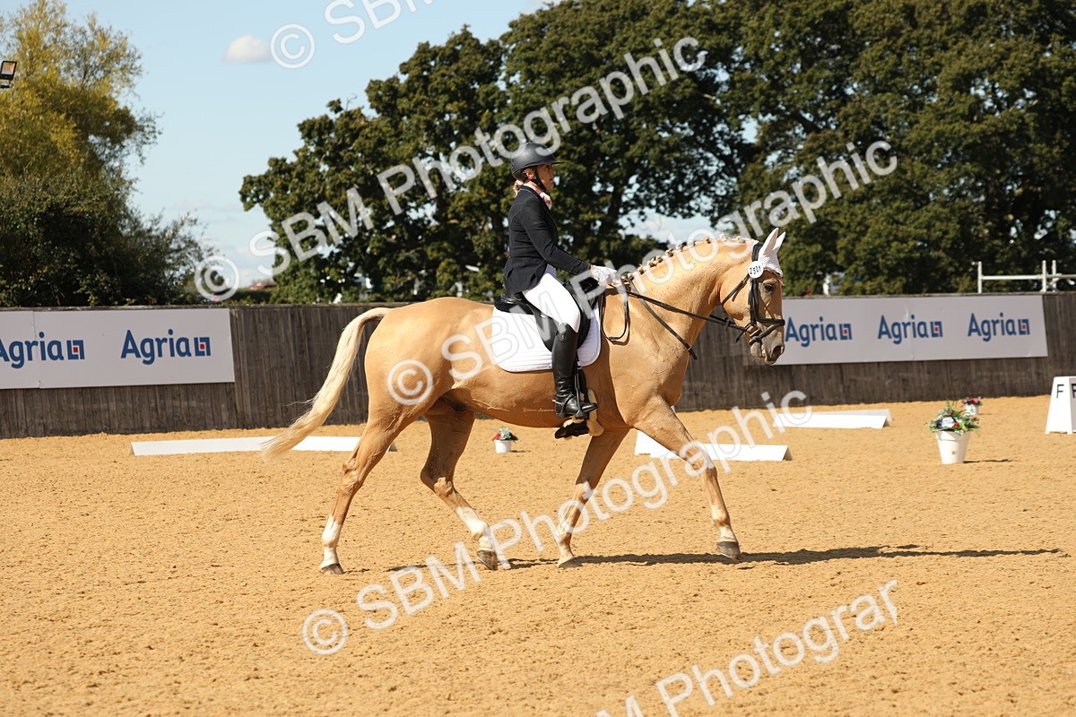 SBM_22322 - D17 - Grand Tour Championship - Novice 27