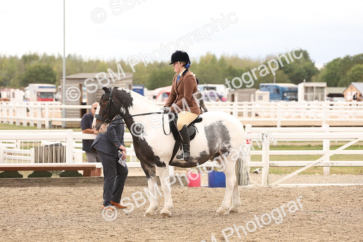 SBM_06222 - Class 57b -  Style & Performance - 60cm (20+)