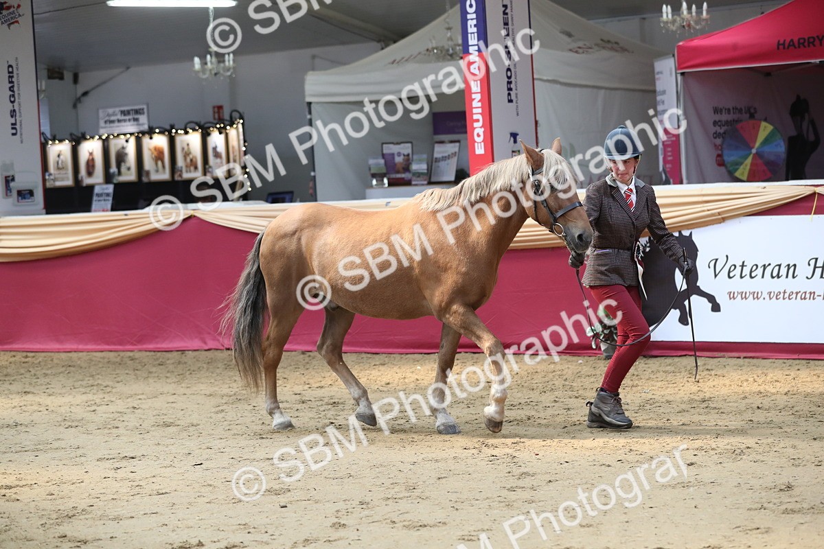 SBM_04514 - Class 7R Regional - IH Diamond