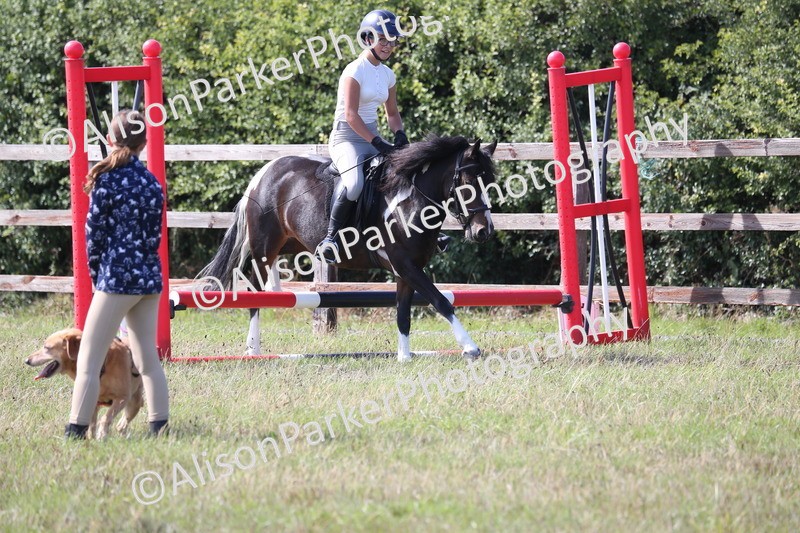 20260906-1609 - Class 10 - Horse & Hound