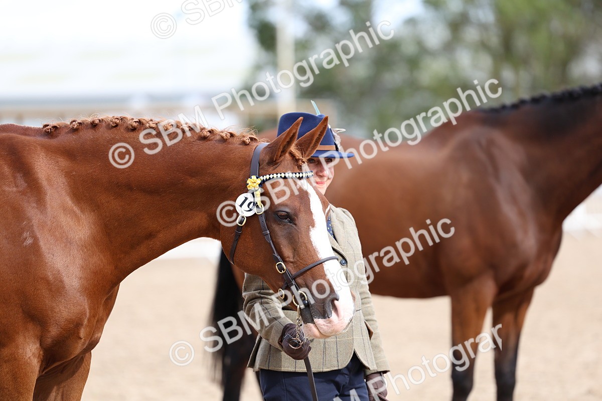 SBM_04491 - Class 26 - IH Foreign Breeds - Part Bred