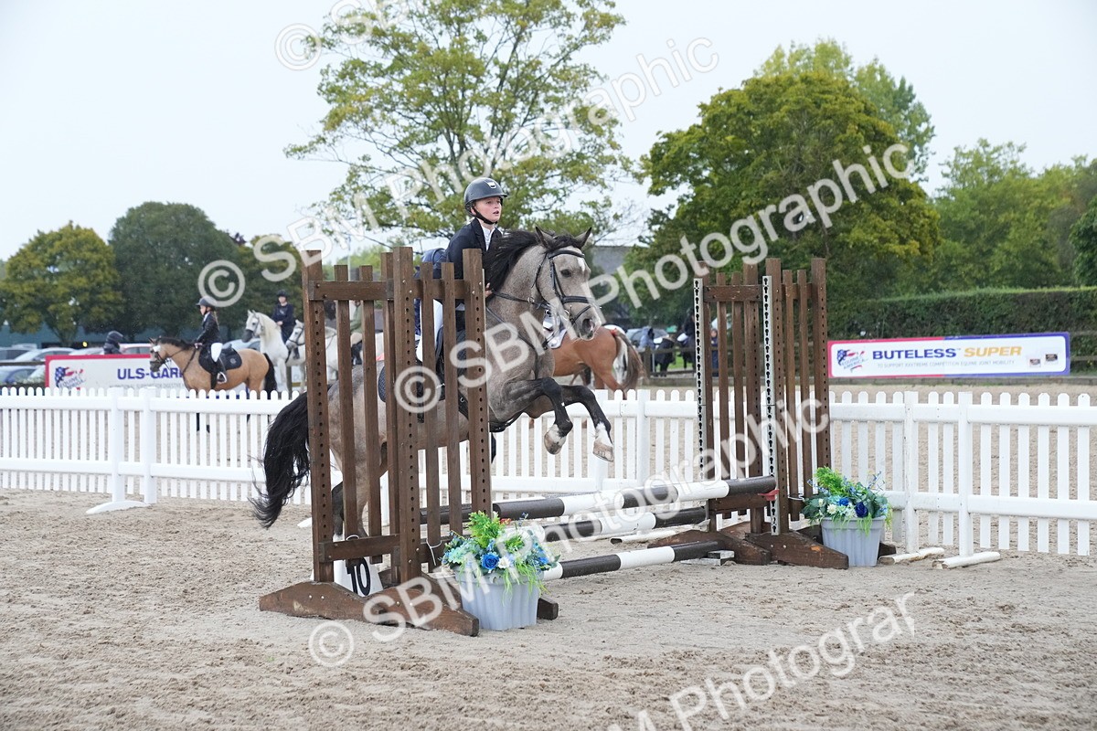 SBM_01667 - J54 - Clear Round 50cm