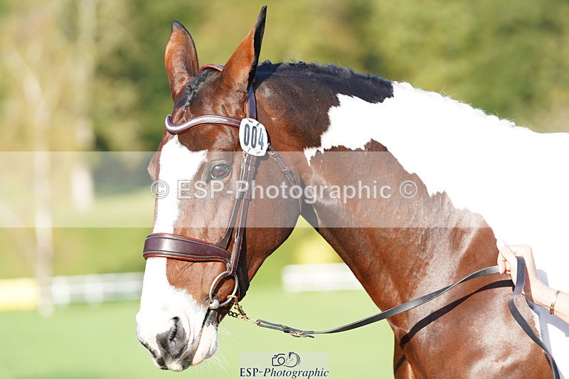 241026-100022-11537 - 004-Claire.Deuten-FOXRIDGE.HIGH.JINX