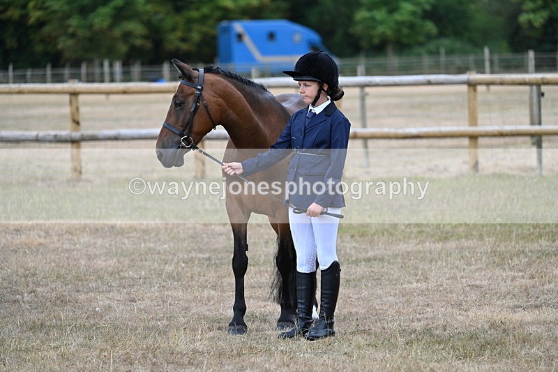 WJ7_9489 - Class 5 Most Handsome Gelding (up to 14.2hh)