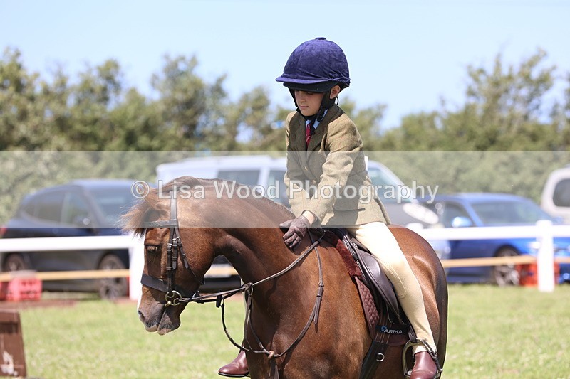 JPP_2364 - Class 20: Tiny Tots Working Hunter Pony