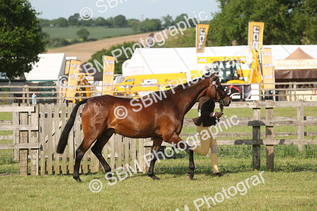 SBM_10417 - Class 33-38 - SSADL RIHS Qualifiers