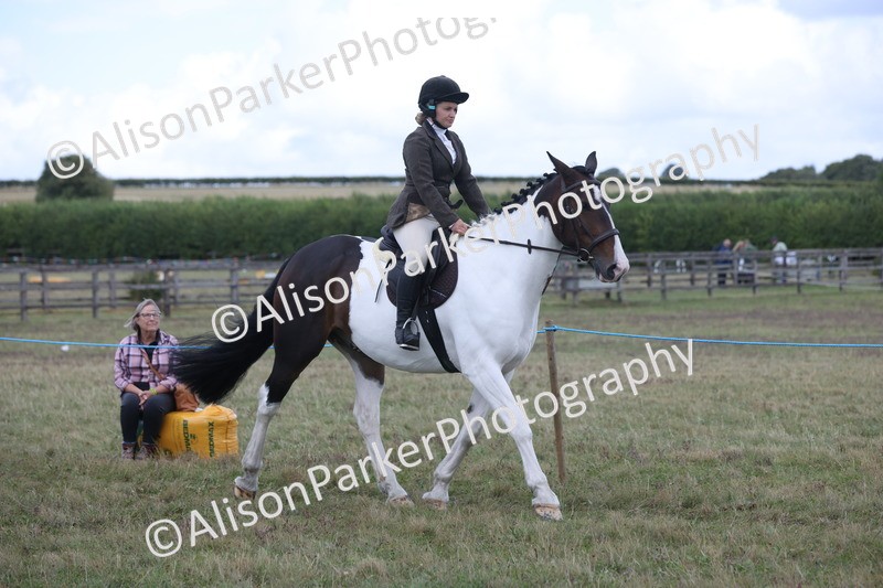 20250831-4227 - Class 20 - Ridden Coloured