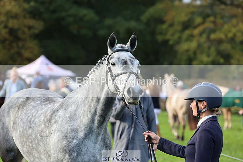 251026A-100354-22710 - D-314-Alice.Tollworthy