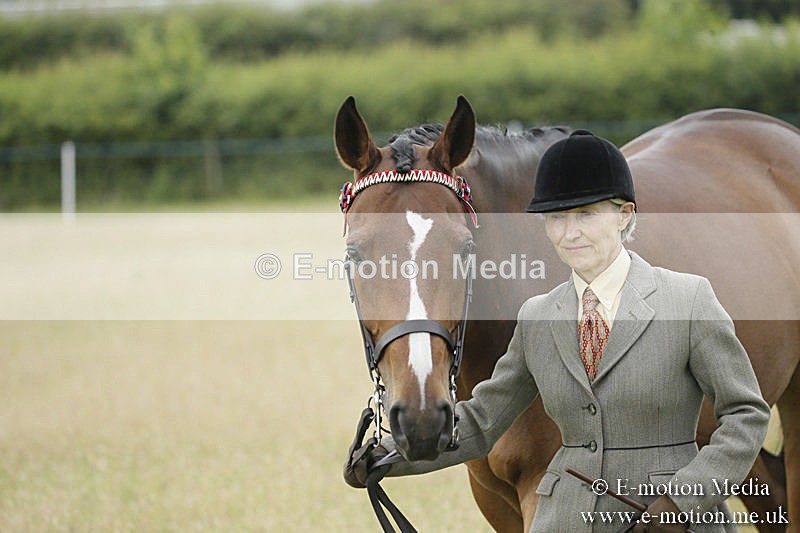 B230619-0225 - Bourne Valley Riding Club Summer Show 23/06/19