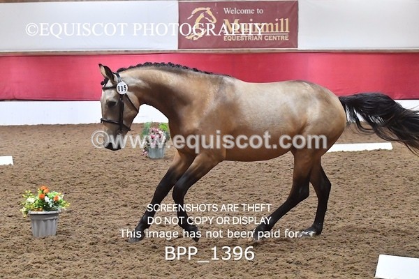 BPP_1396 - MORNING 9AM - 12PM