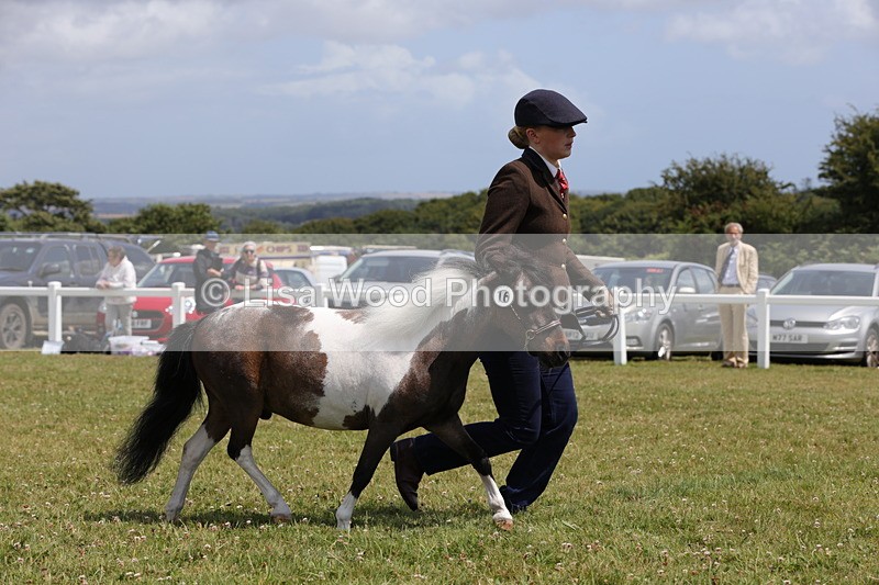 1X9A4831 - Class 35: Veteran In Hand