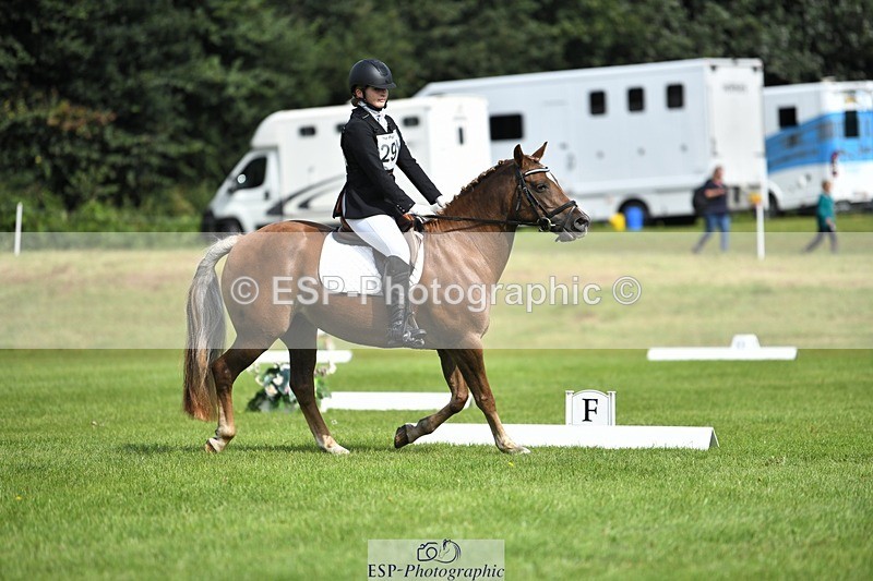 230826-104856-15620 - Sections C & D 10 to End