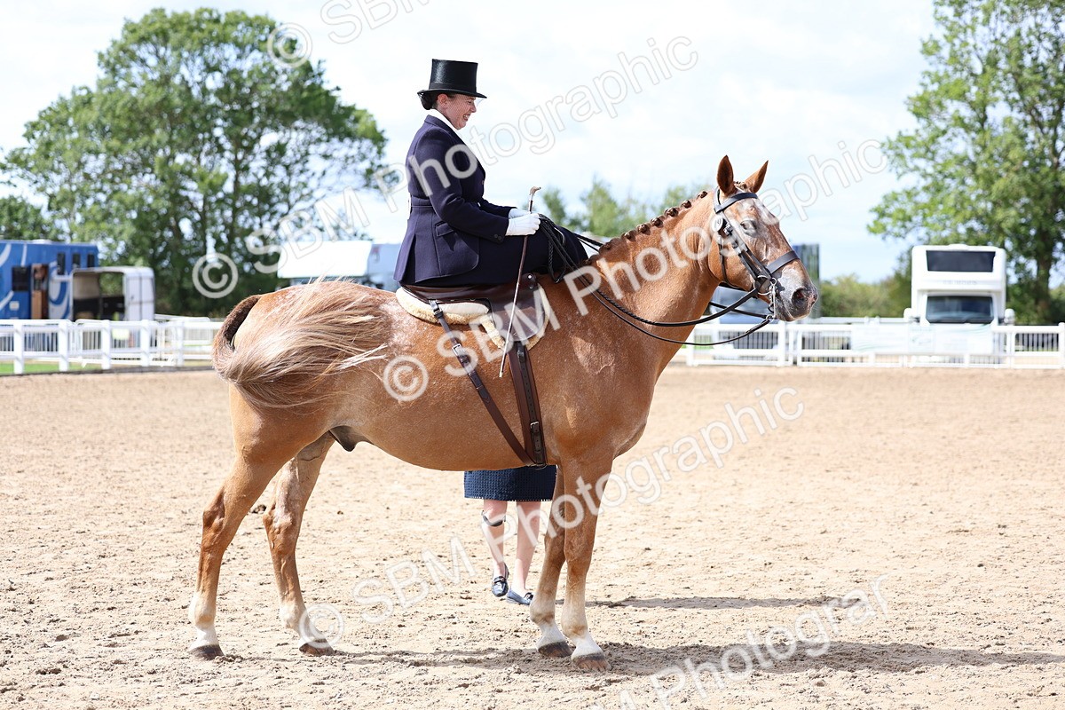 SBM_03250 - Class 22 - SSA Equitation (any age)