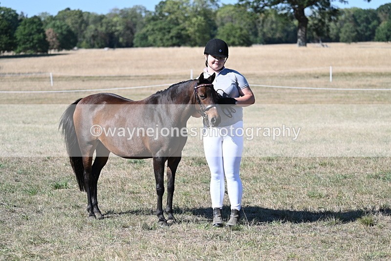 WJ7_2108 - Class 44 Child's Best Friend