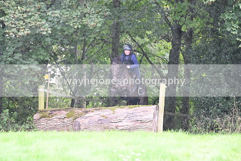 WJ6_1920 - Time 13:31 to 14:00