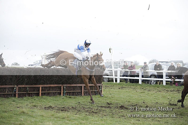 PtP 150320 0591 - New Forest Point-to-Point Larkhill 15/03/20