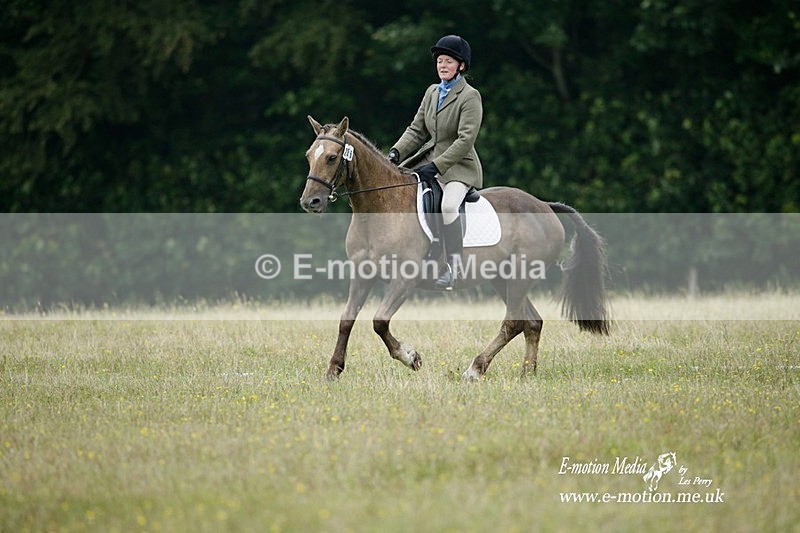 BVRC 030721 524 - Bourne Valley Riding Club Dressage 03/07/21