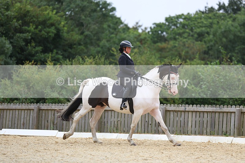 3E7A7370 - Class 9: Elementary 4 2024 - No sections