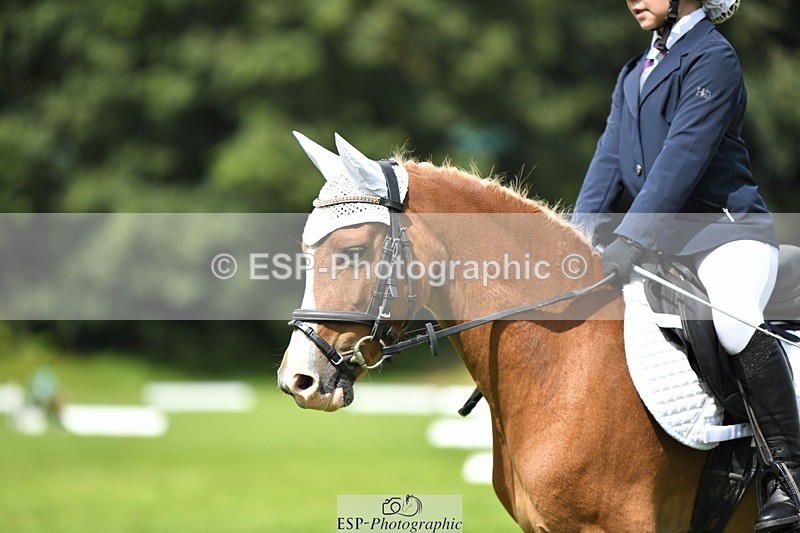 230826-133336-19798 - PC 70 1pm to 2pm