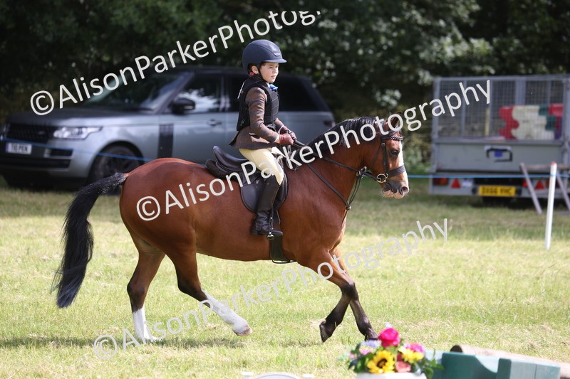 20260614-0504 - Class 20 - Beginners Working Hunter Pony