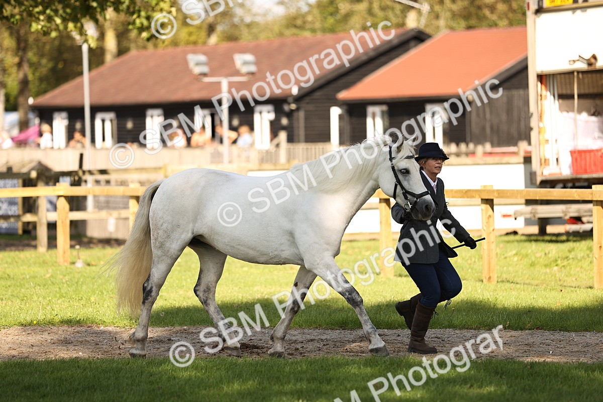 SBM_26131 - S5 - Novice & Newcomers In Hand