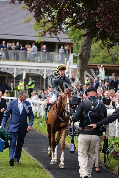 yr13052022r4-99 - Race 4 3.35pm The Paddy Power Yorkshire Cup (British Champions Series Race)