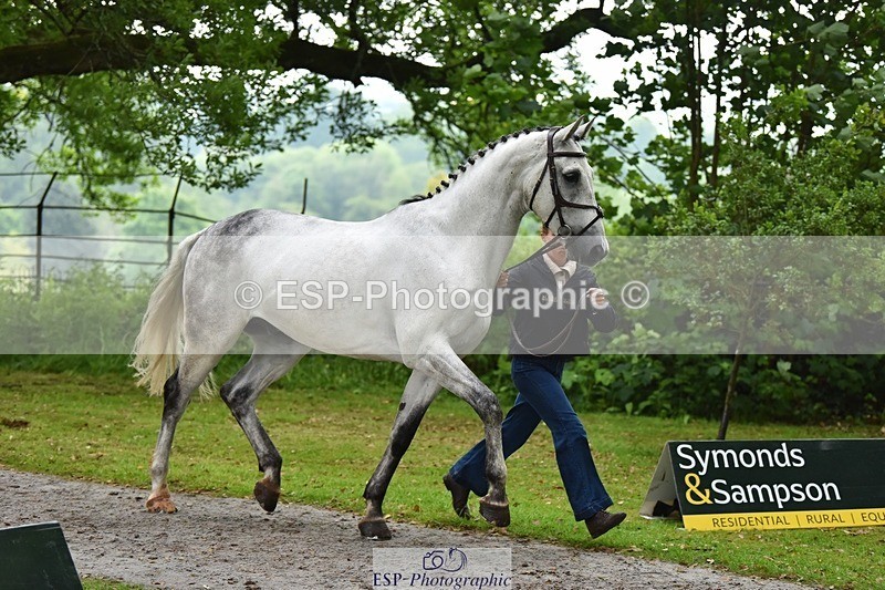 240522-164612-01142 - 281-UNSTOPPABLE_VAN_'T_CRAEYNEST_Z-Valentine_Emsens