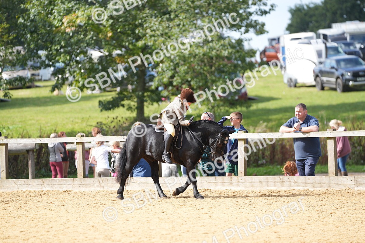 SBM_64586 - J2 - Mini Tour Junior Pony 30cm Championship