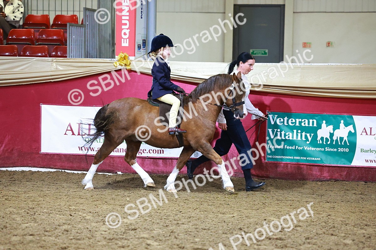 SBM_14655 - Class I - Ridden Pony Champ