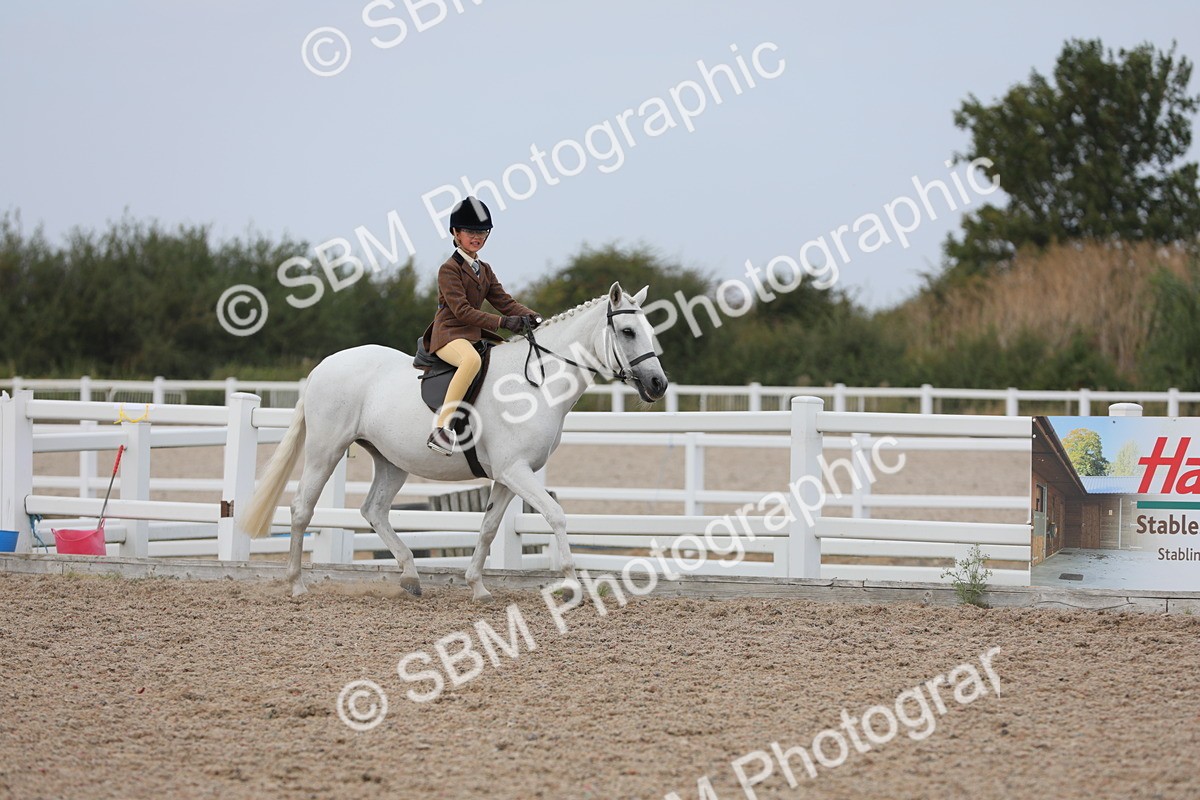 SBM_16860 - Class 314 Family Horse/Pony