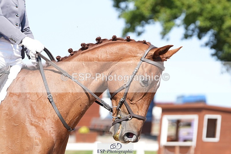 250817-152358-11192 - 203-Anna.JamesVillany