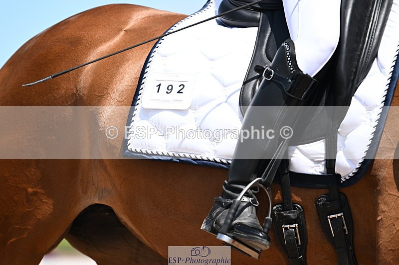 240621A-133040-04082 - Cls 8 BD Elementary 53