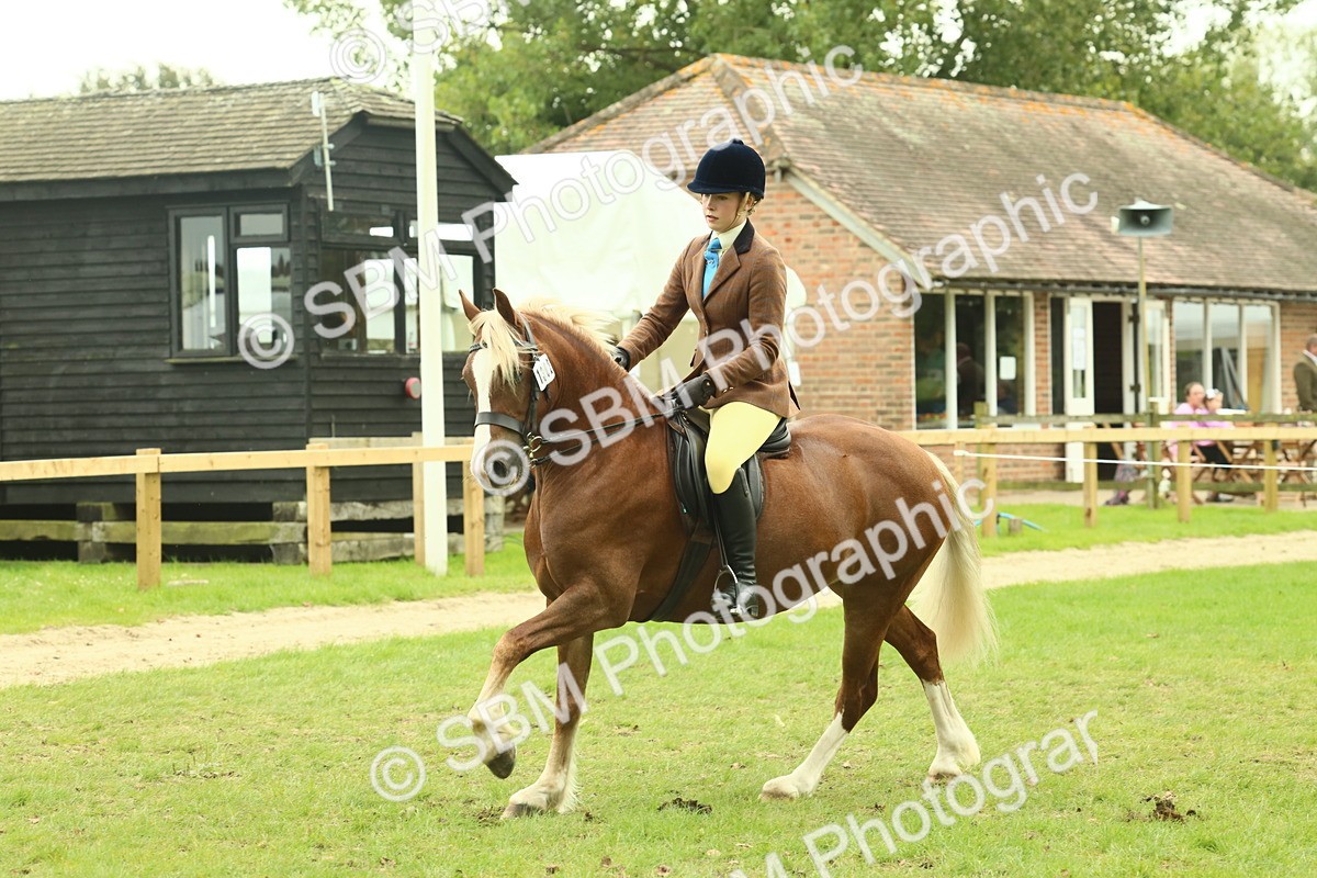 SBM_72072 - S60 - Mountain & Moorland Ridden Large Breeds