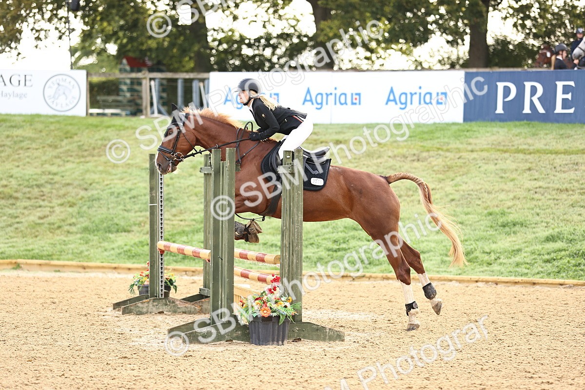 SBM_55127 - J62 - Clear Round 90cm