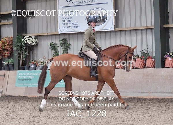 JAC_1228 - CLASS 8 BHS Scotland Riding Club Working Hunter Qualifier (1.00m)