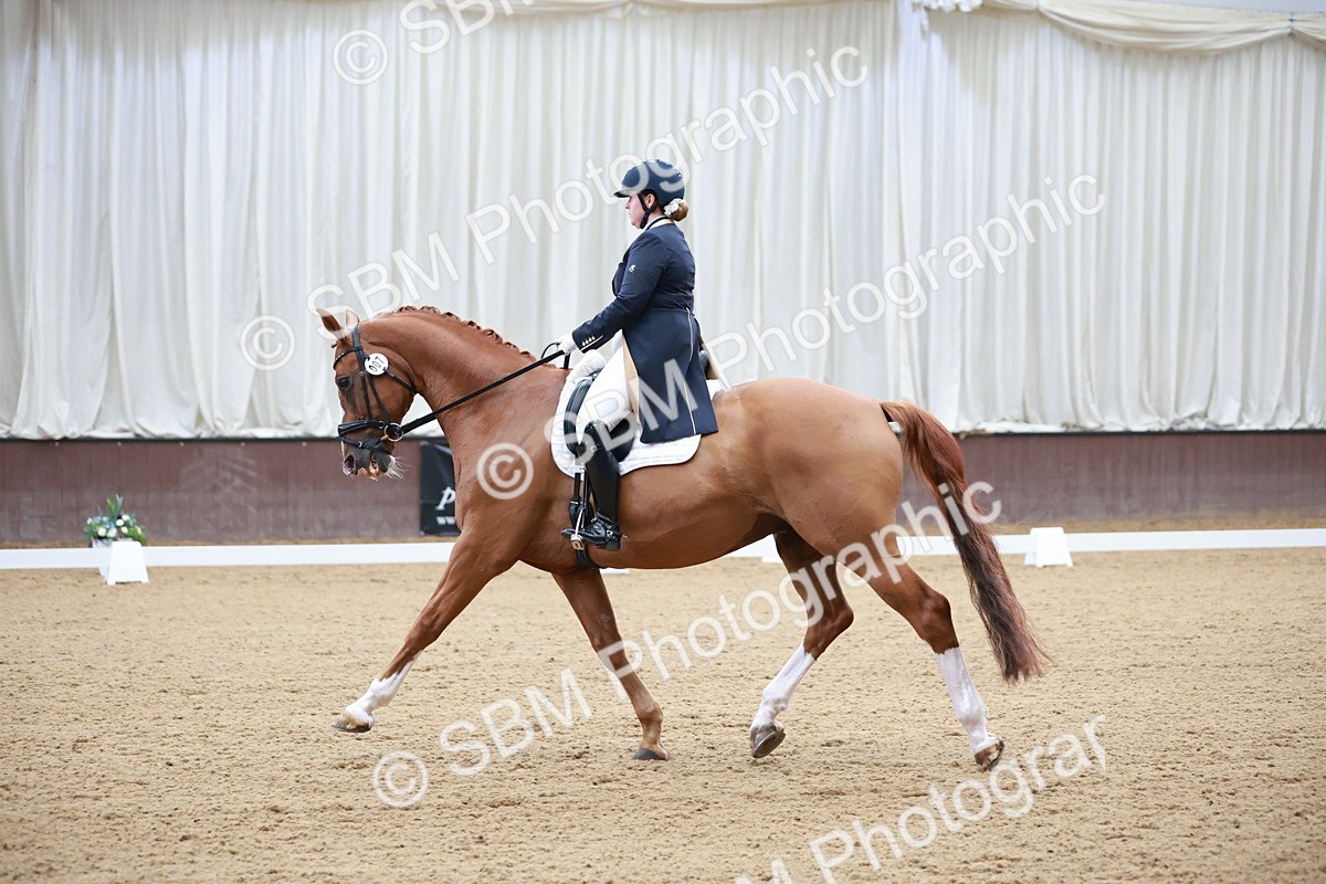 SBM_008690 - Class 14 - FEI PSG - 9.30-10.30