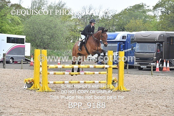 BPP_9188 - CLASS 29 SUN Veterans Show Jumping