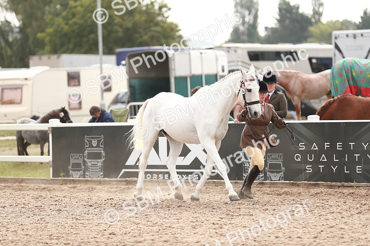 SBM_13197 - Class 208 IH Veteran Horse
