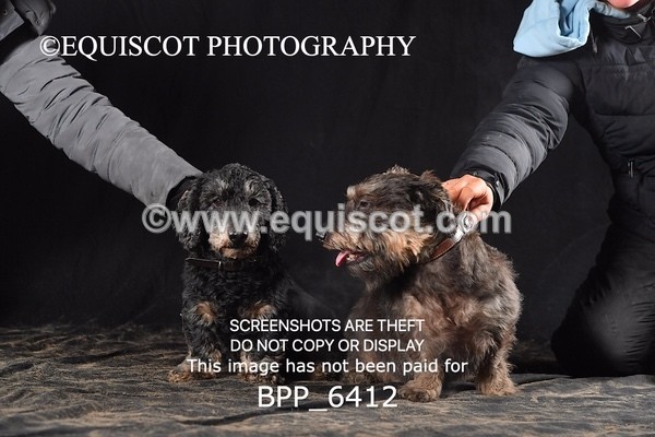 BPP_6412 - CARLA DOGS