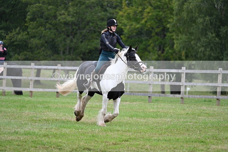 WJ7_7780 - 40cm Time 10:49 to 11:18