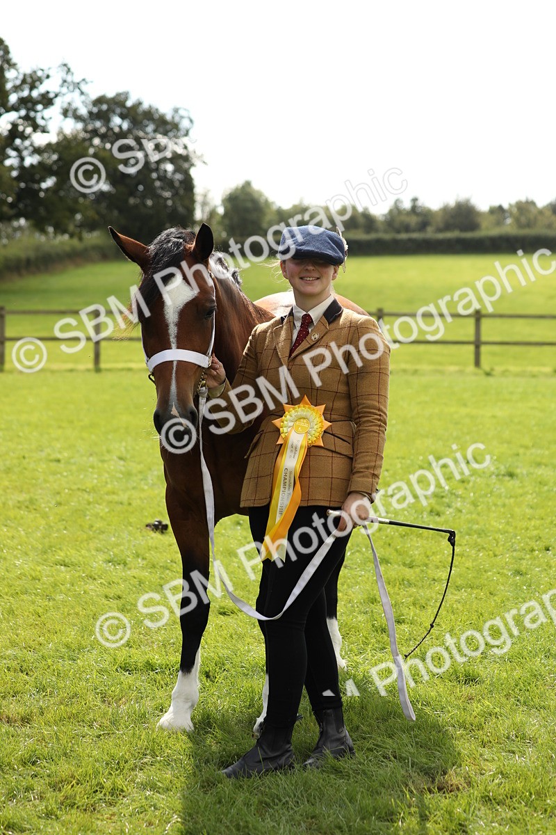SBM_65535 - S47 - Mountain & Moorland In Hand Large Breeds