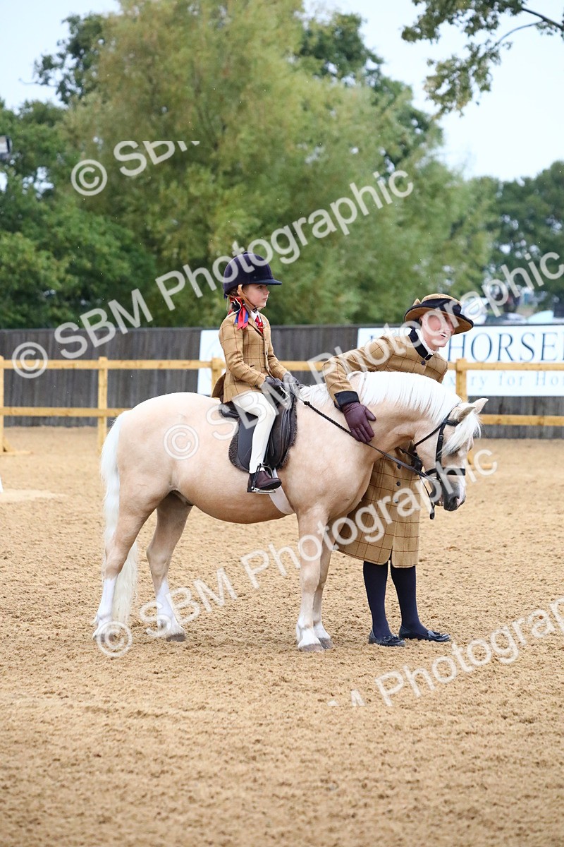 SBM_34579 - D26 - Starters Lead Rein