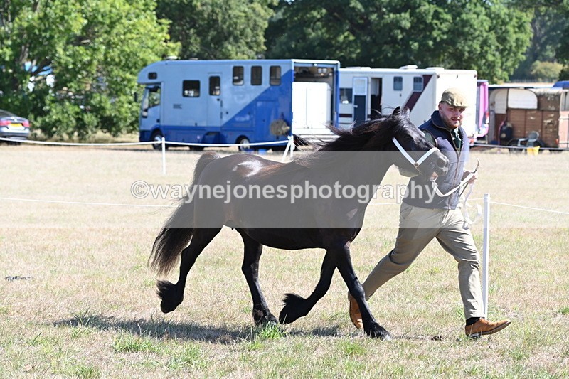 WJ6_4674 - Class 17 Mountain & Moorland