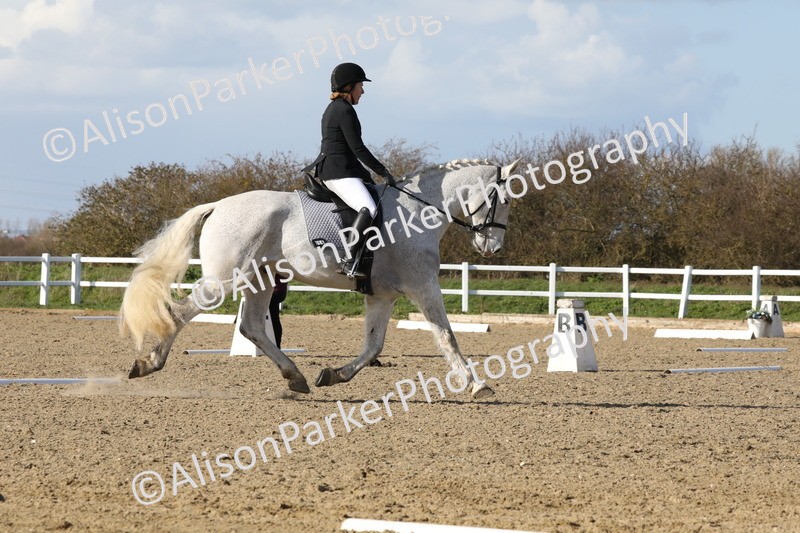 20260314-5108 - CT6 - Elementary 1